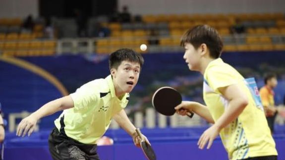 太阳主导的 太阳主导的